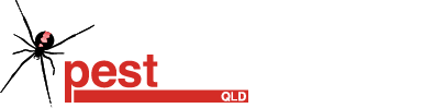 The Pestman Qld - termite specialists