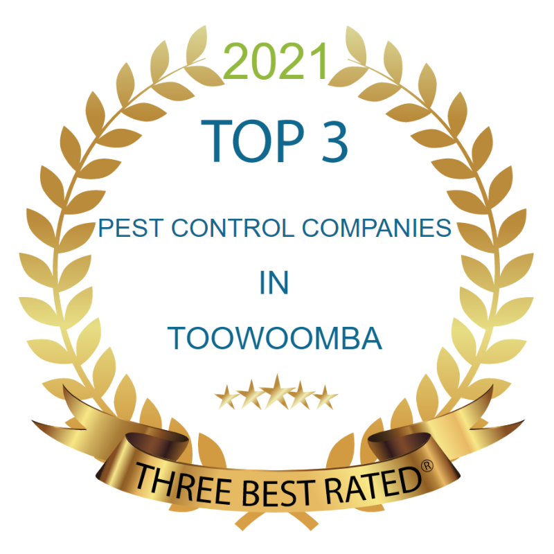 2021 Top 3 Pest Control Companies