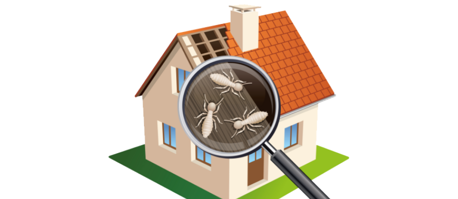 Property Management Pest Control
